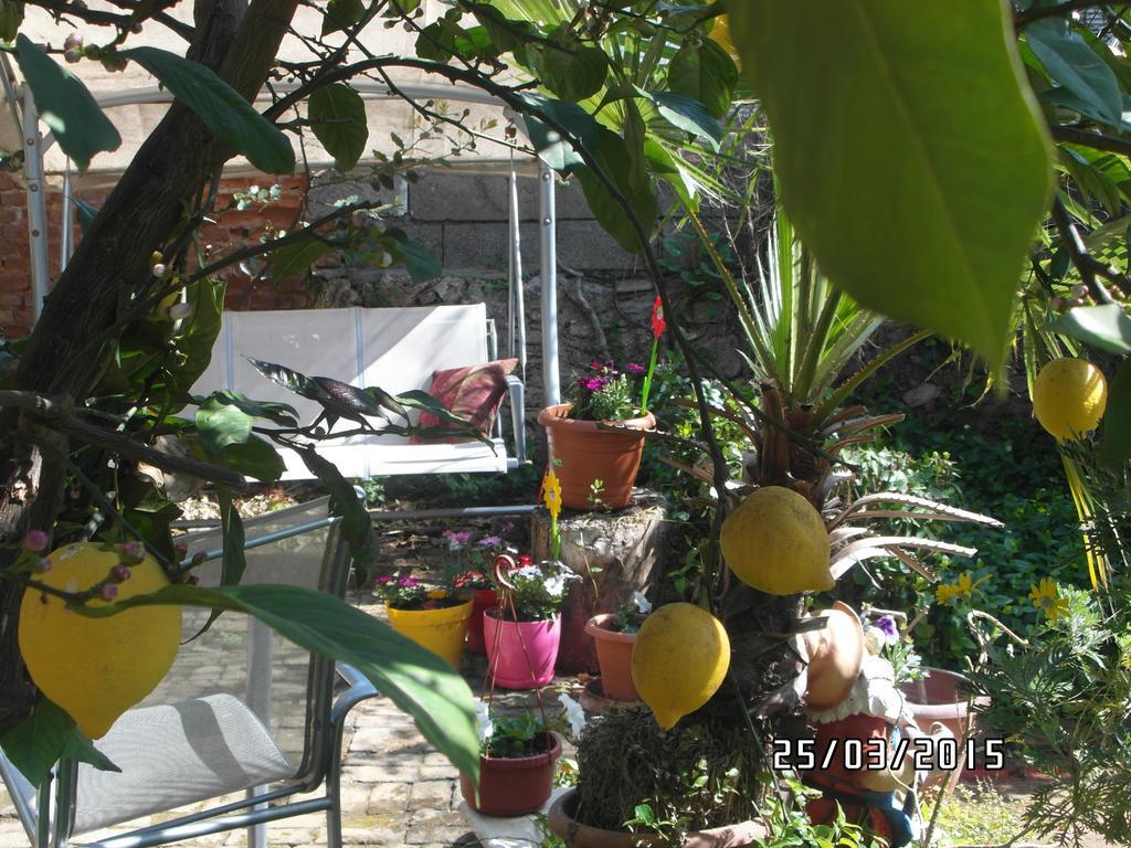 Beach House Apartment Side Phòng bức ảnh