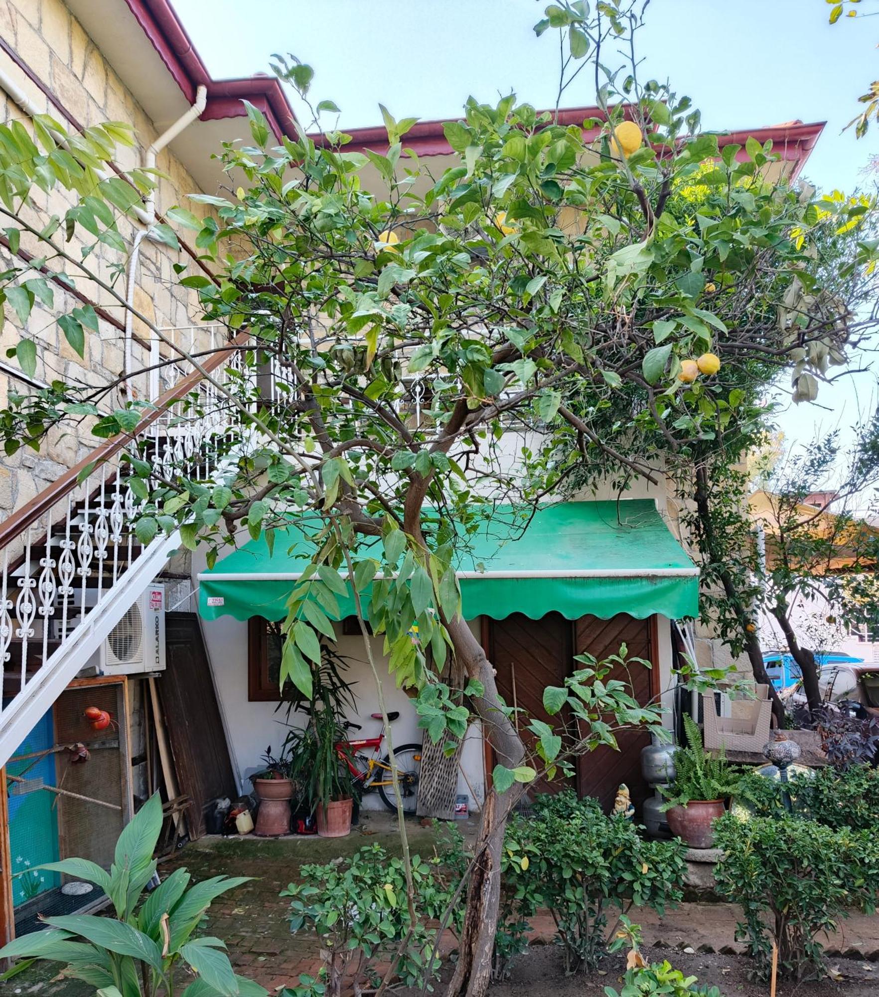 Beach House Apartment Side Ngoại thất bức ảnh